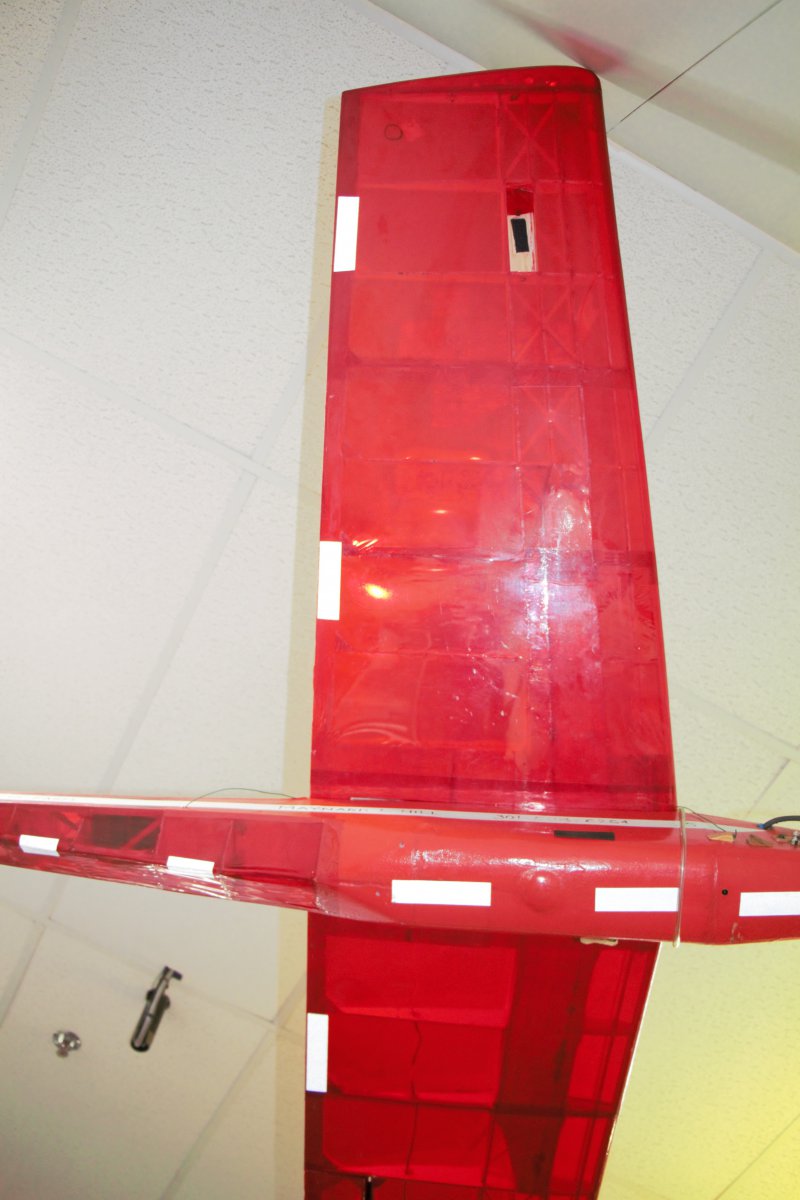 11 TAM 5 bottom of right wing.jpg