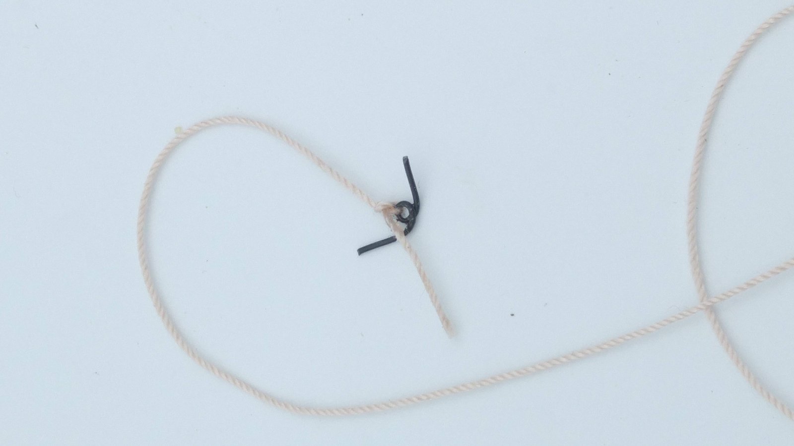 20191002_130020.jpg