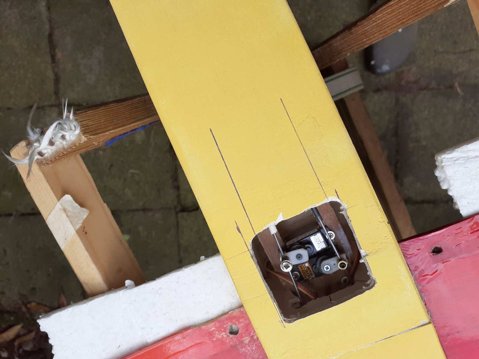 20210729_152911.jpg