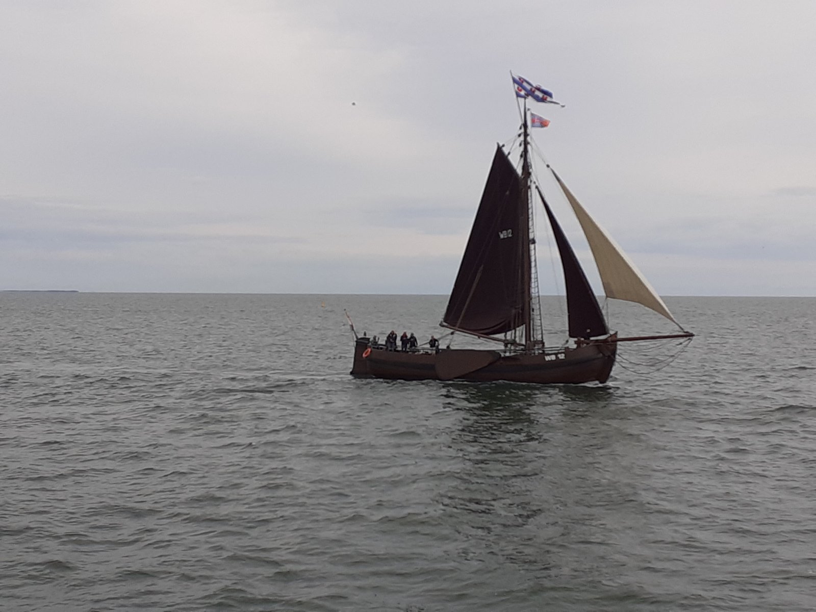 20220714_111206.jpg