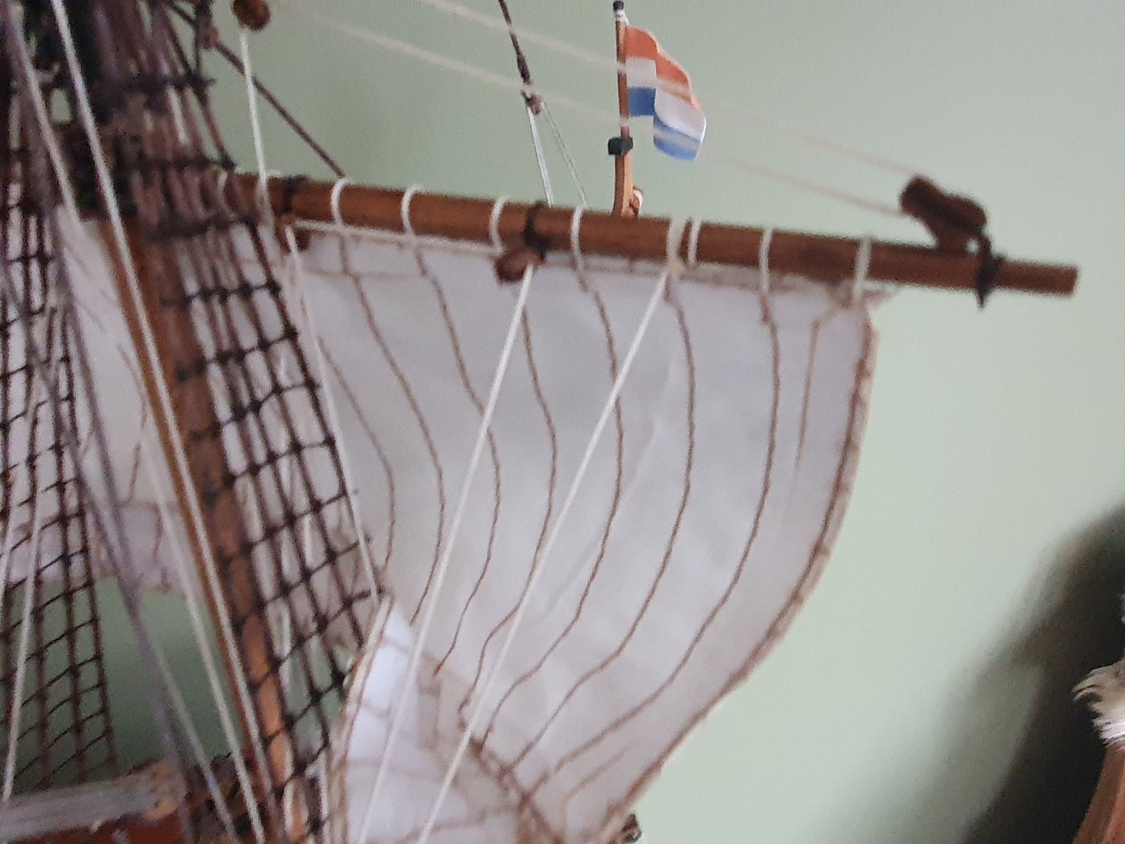 20221219_130825.jpg