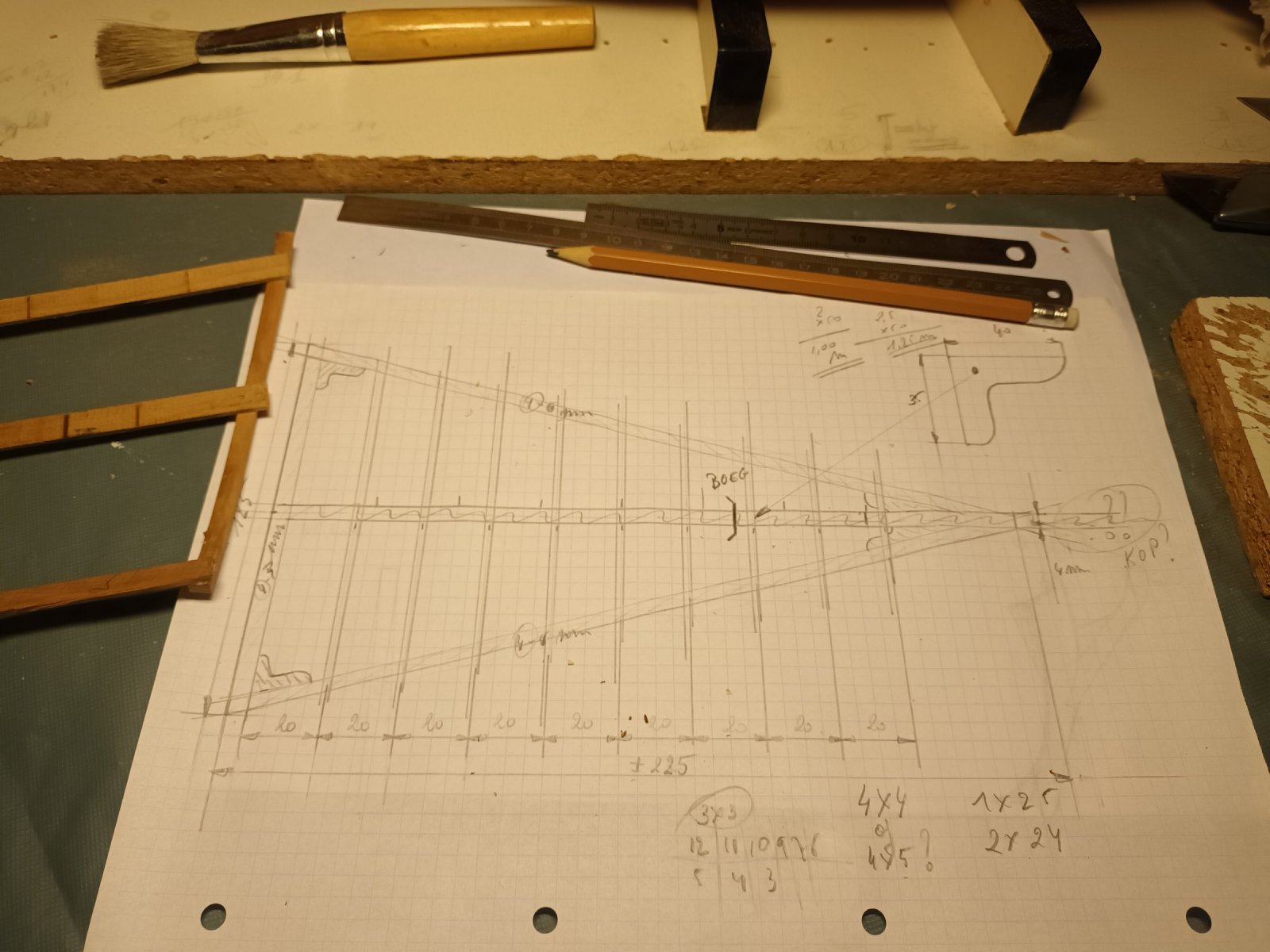 20241019_065817.jpg