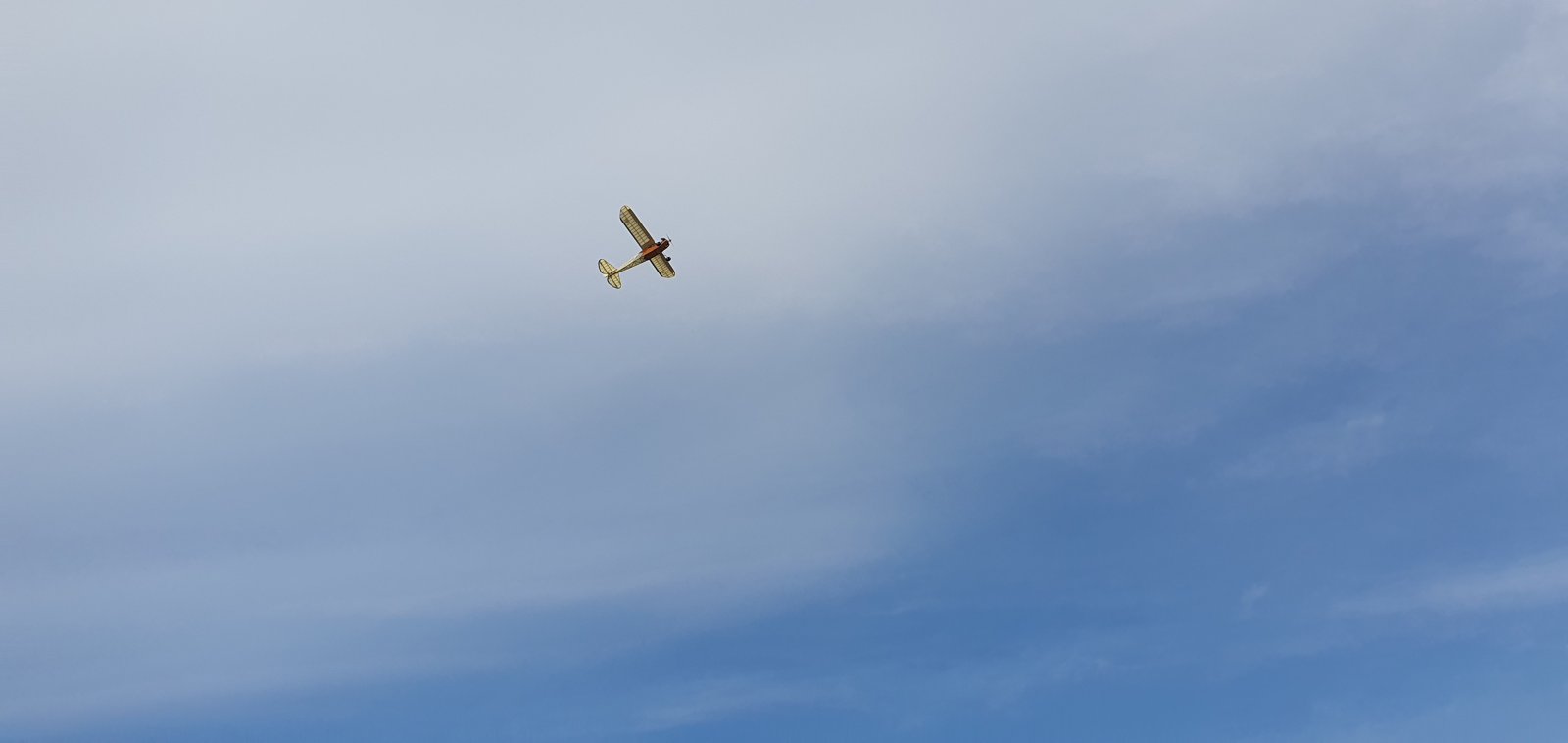 20250531_114627.jpg