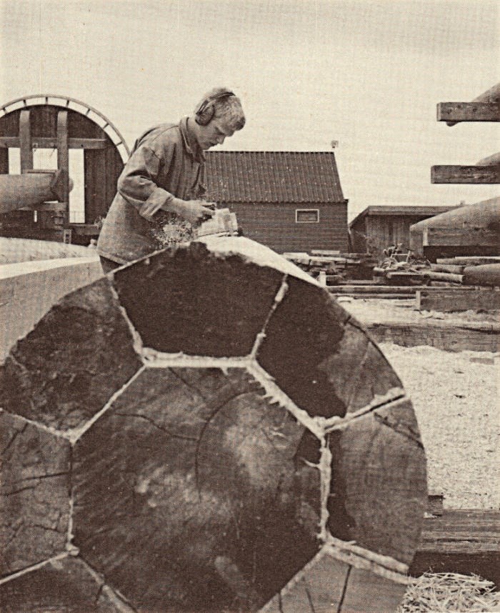 3483015_1_org.jpg