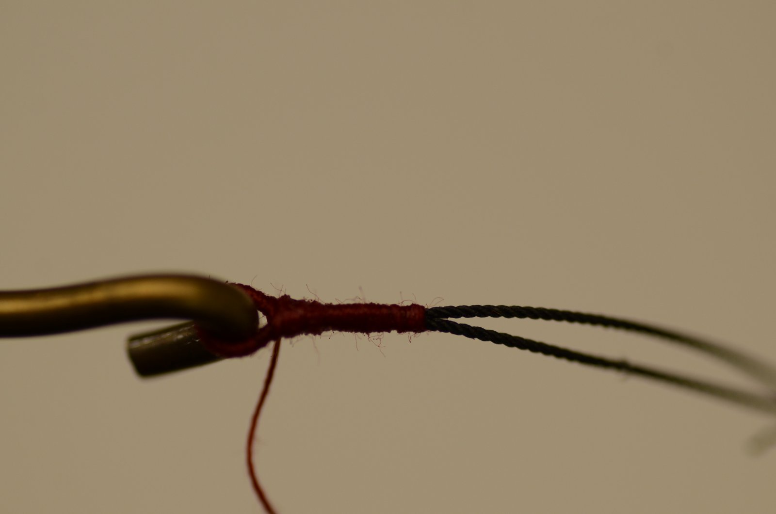 _DSC0700.JPG