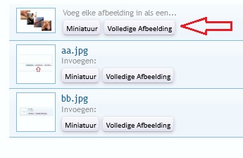 bb.jpg