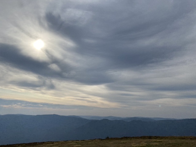 C5BDFE87-24F6-418E-8847-DBCFD76B3926.jpeg