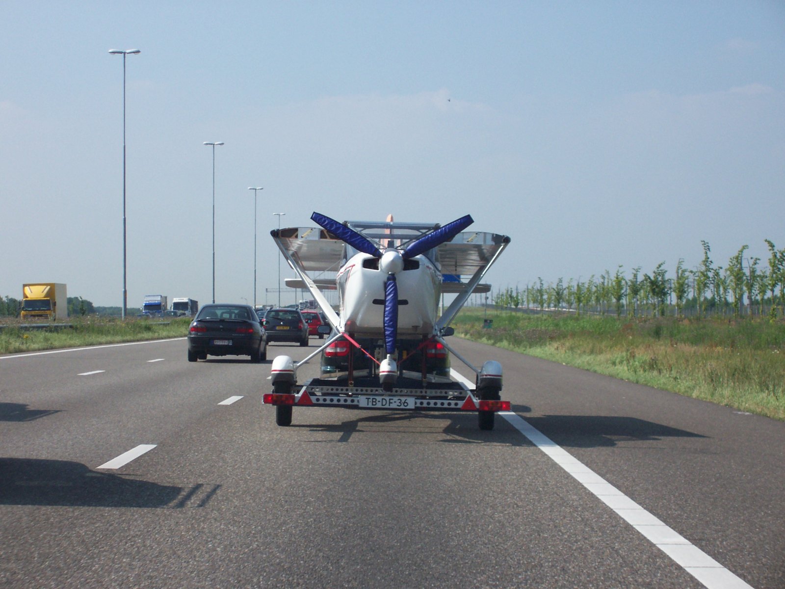 Dag vliegen 012.jpg