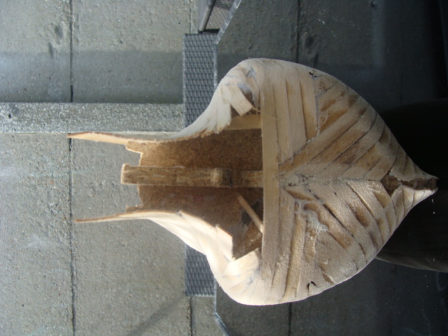 DSC05506.JPG