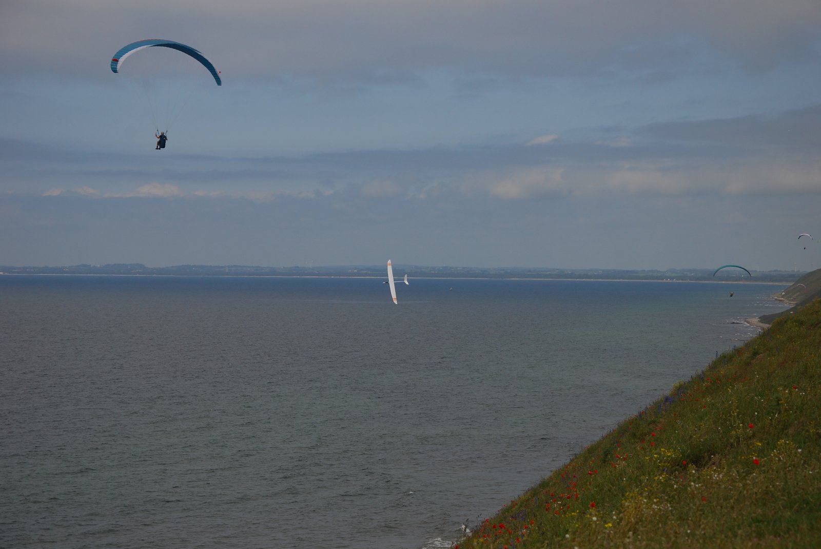 DSC_8335.JPG