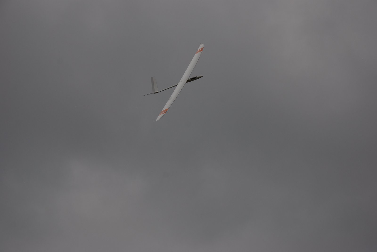 DSC_8339.JPG