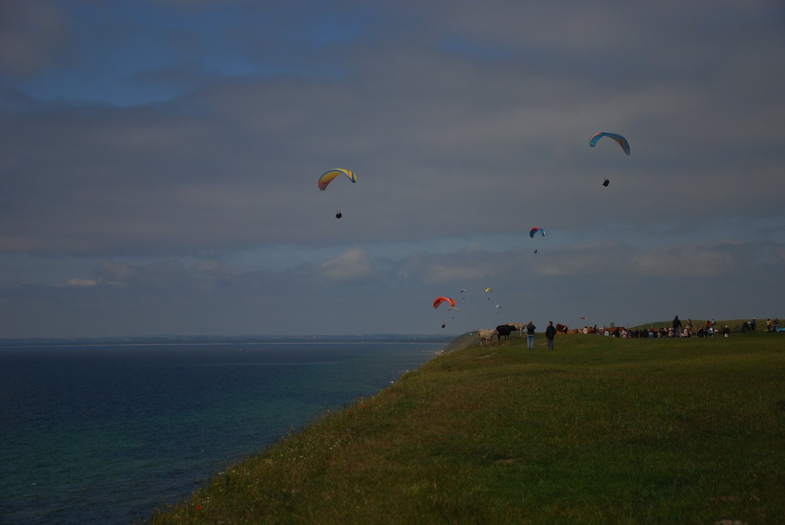 DSC_8397.JPG