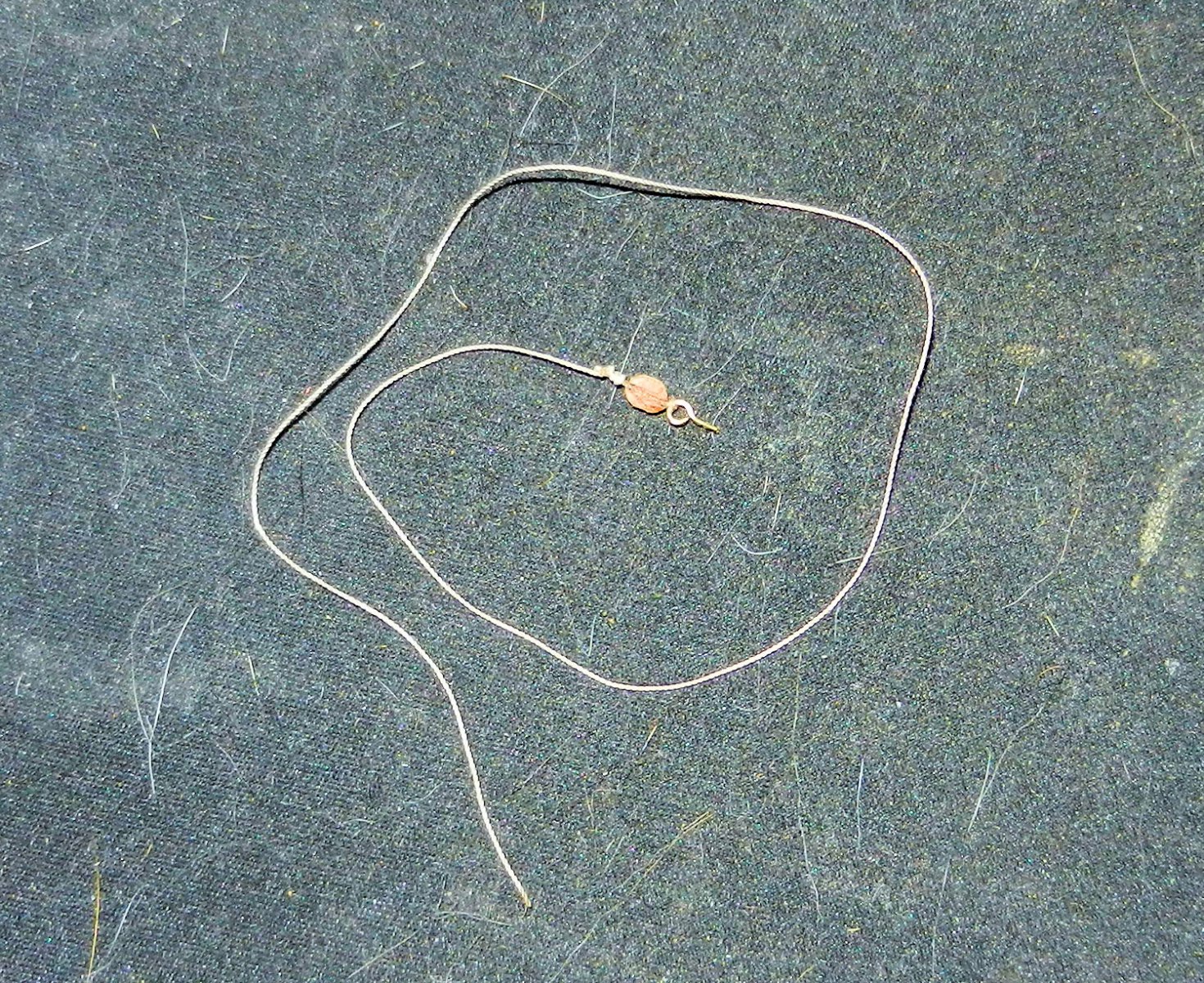 DSCN5846.JPG