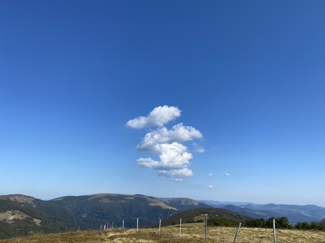 F801CABB-C452-4B0D-BADE-7C853F198A77.jpeg