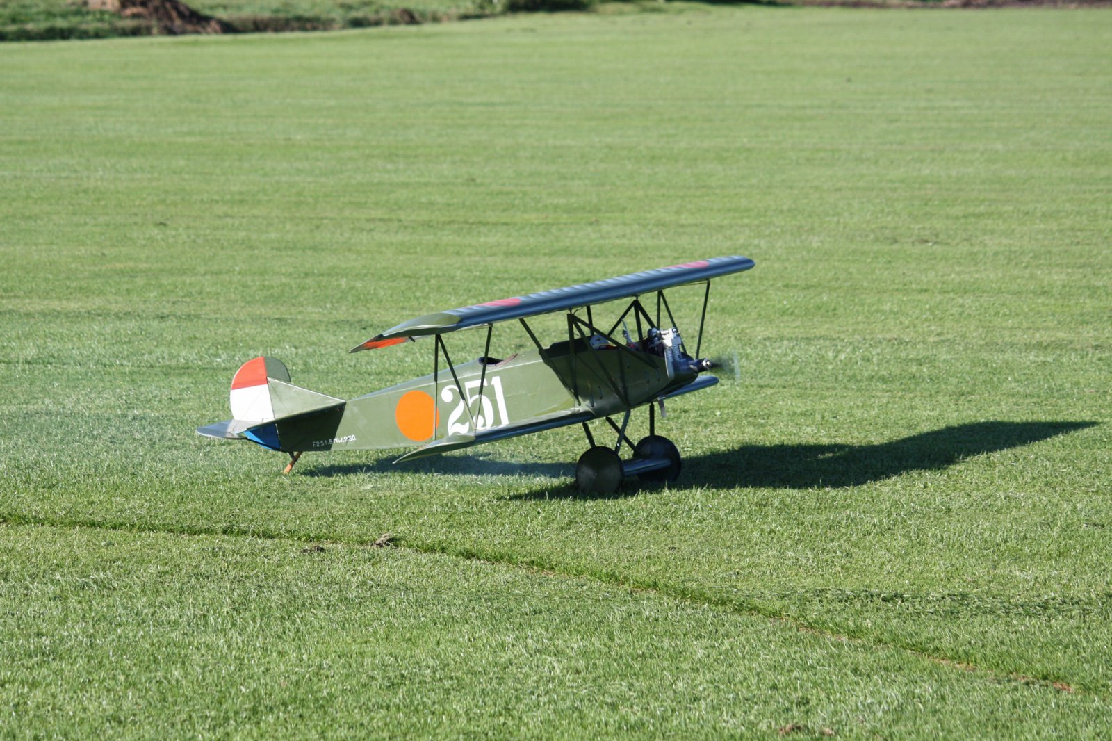 fokker d7 nr 2.jpg