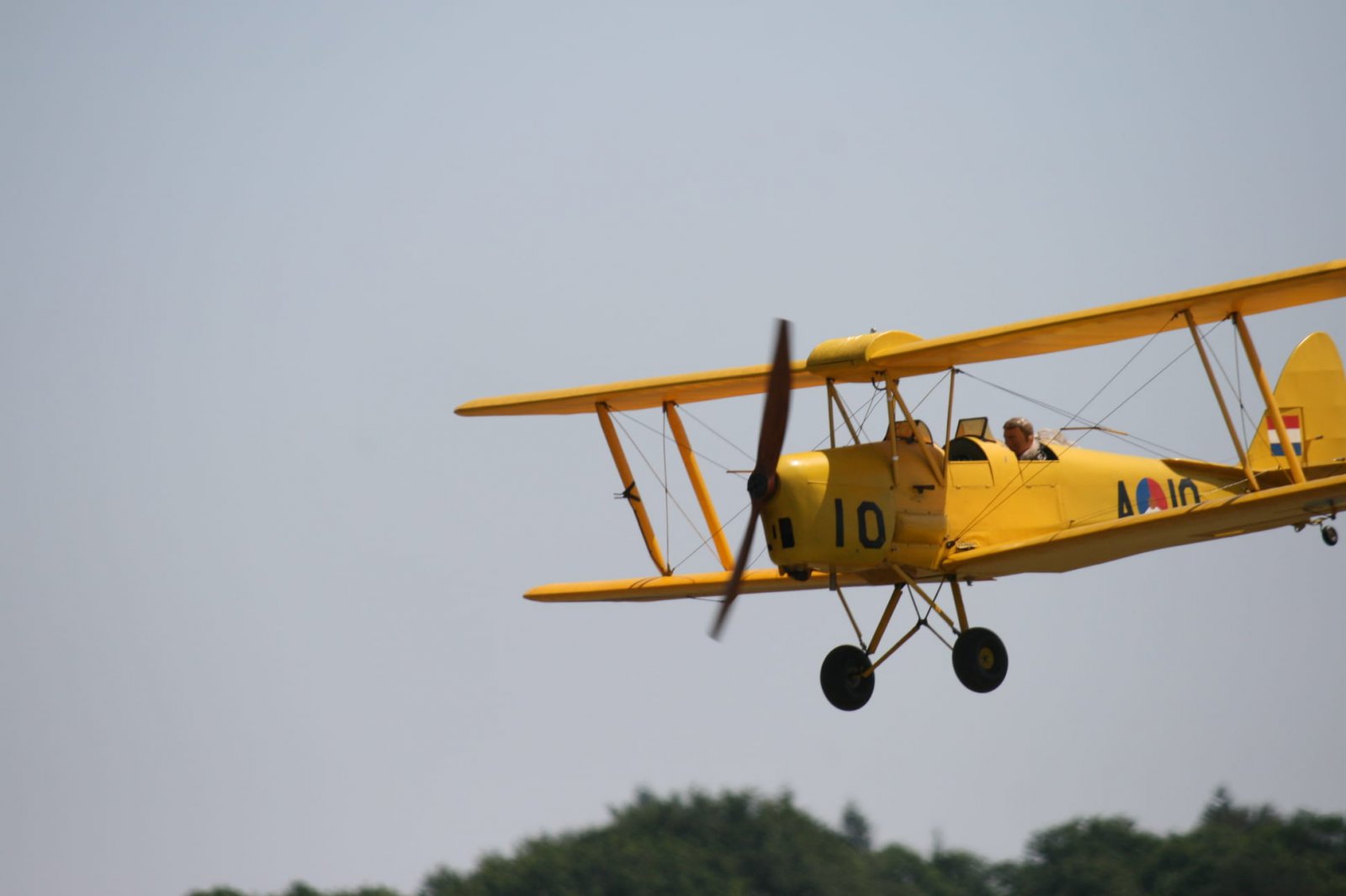IMG-20230617-WA0007.jpg