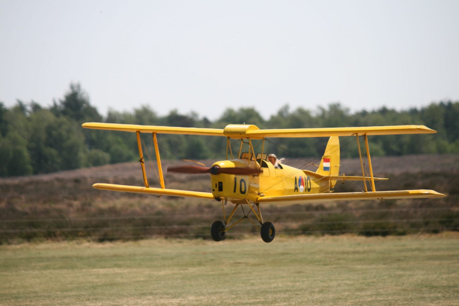 IMG-20230617-WA0014.jpg