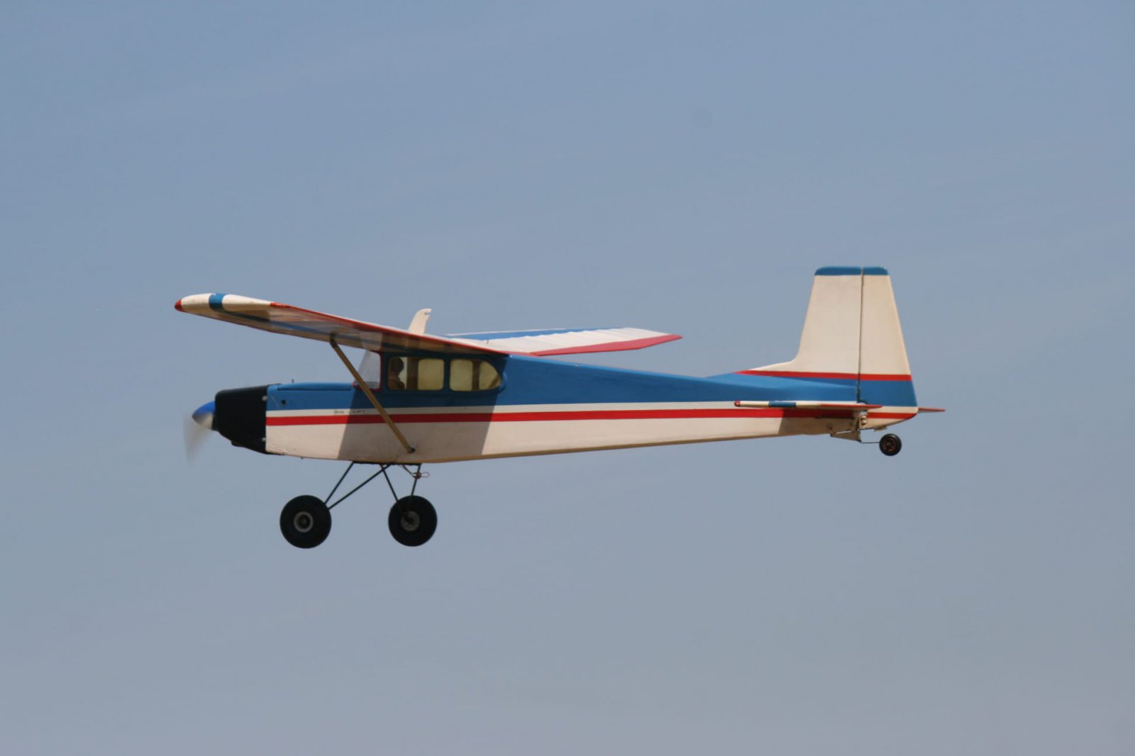 IMG-20230617-WA0016.jpg