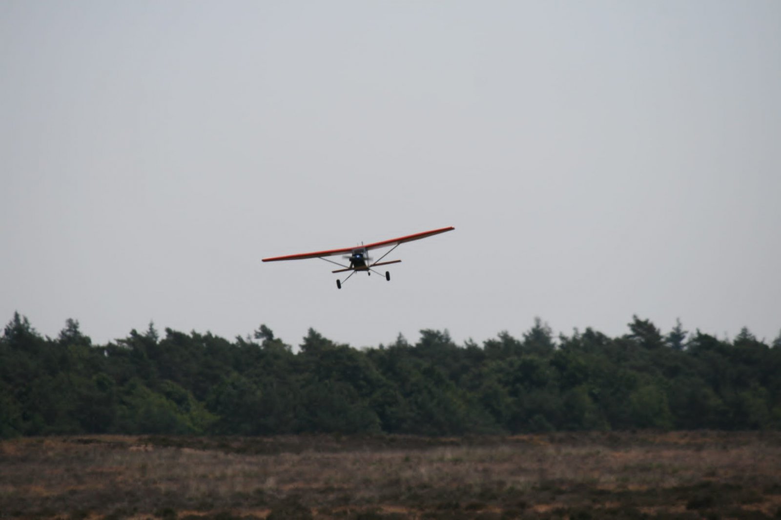 IMG-20230617-WA0032.jpeg