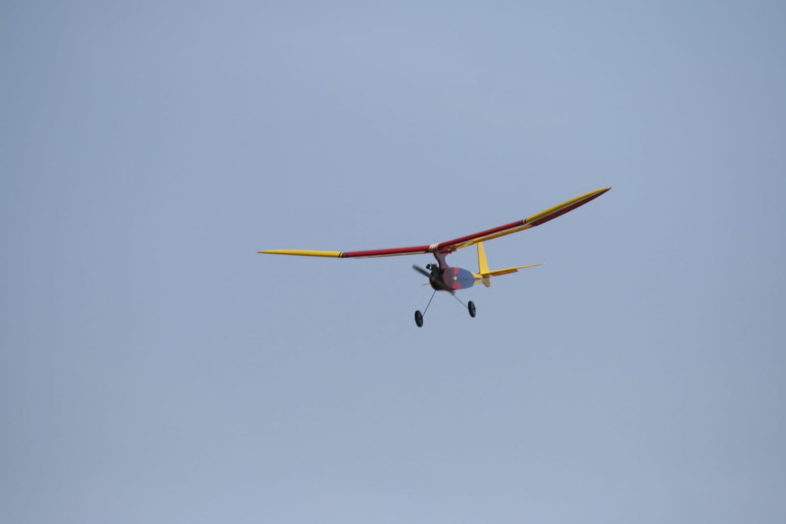 IMG-20230617-WA0079.jpeg
