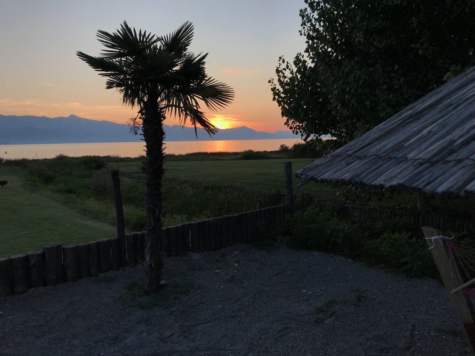 IMG_0598.jpeg