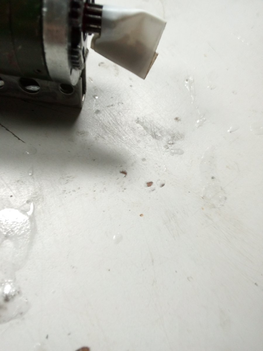 IMG_20191006_112402.jpg