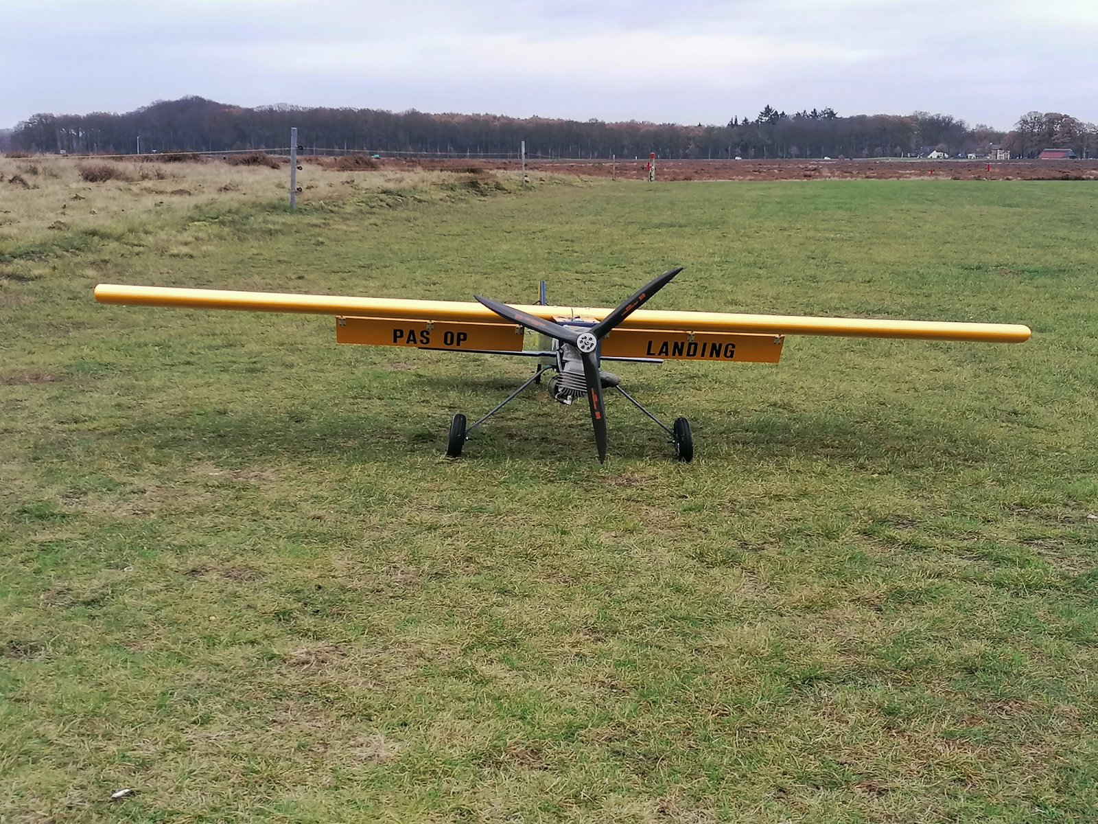 IMG_20201121_122900.jpg