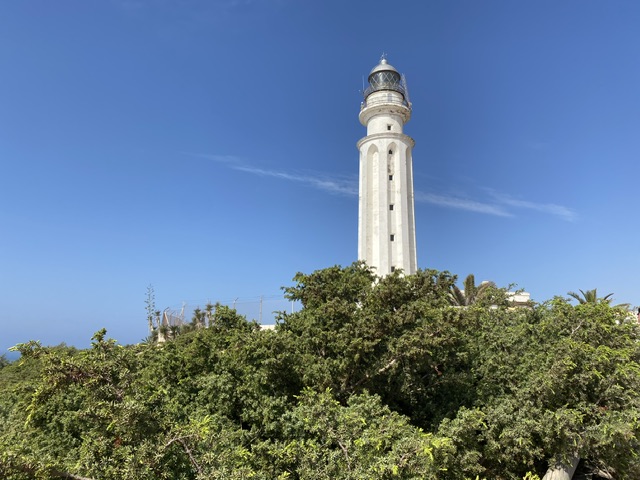 IMG_7445.jpeg