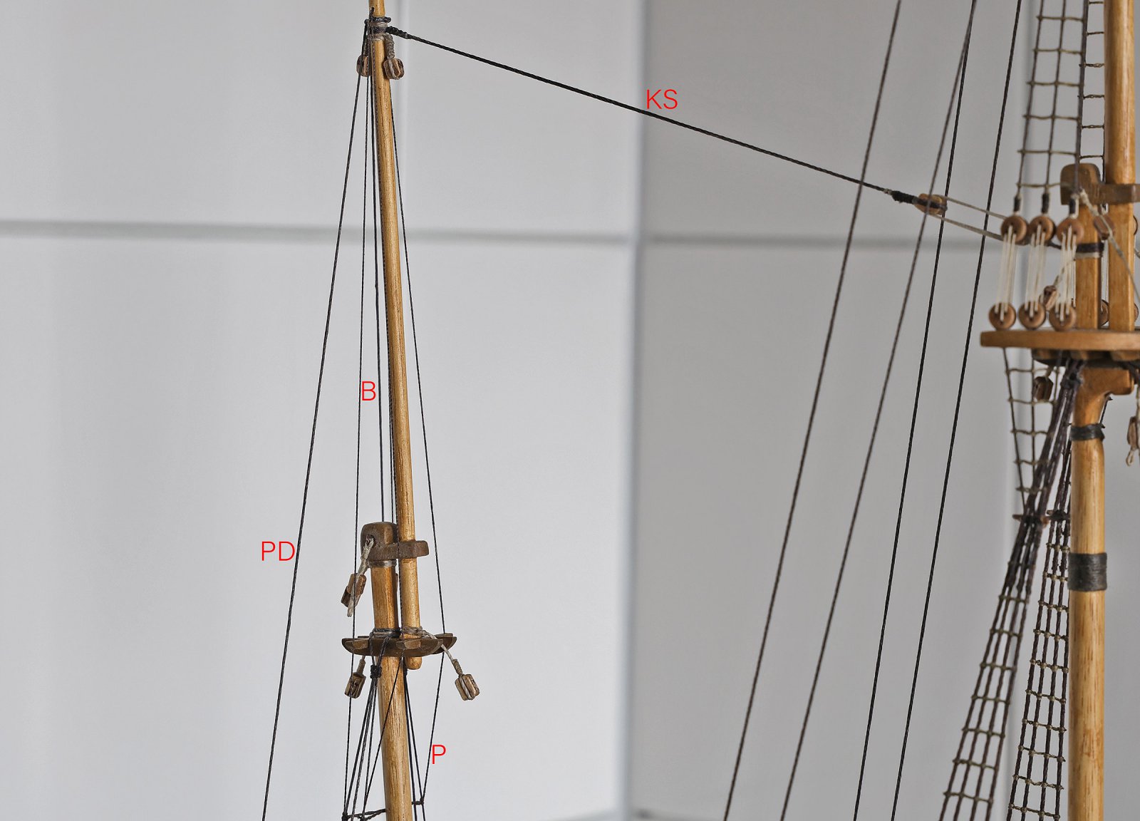 IMGM1871.JPG