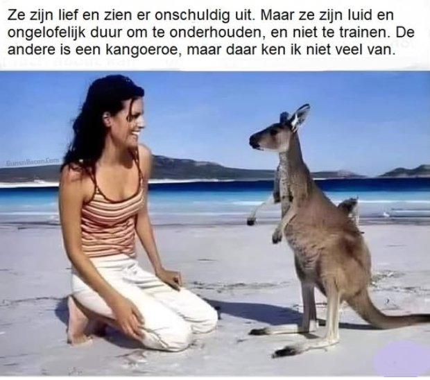 kangaroe.jpg