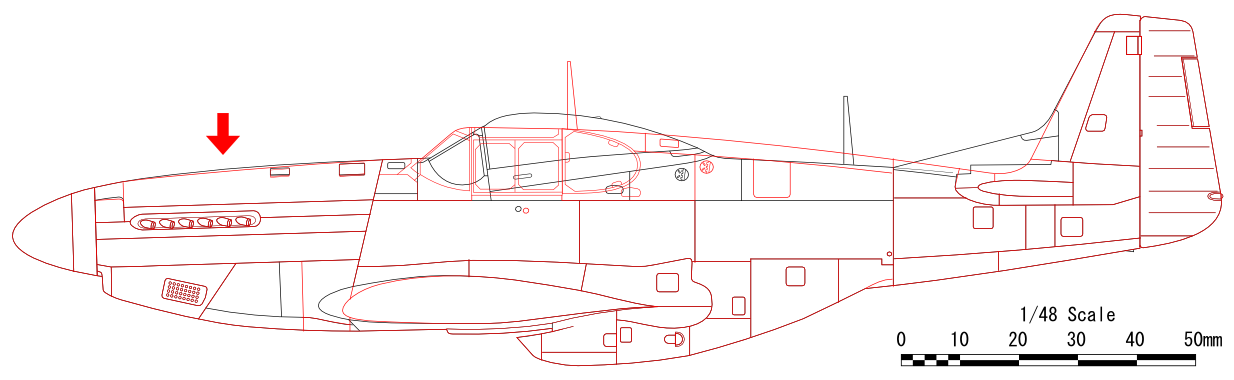 p51_B-D (1).png