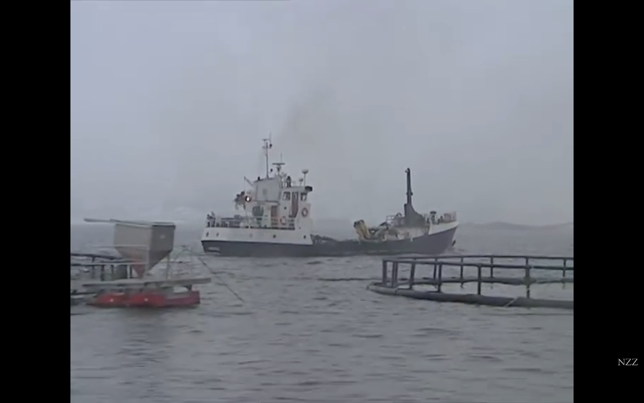 Screenshot_2018-11-02-21-44-39 2005 Lofoten.png