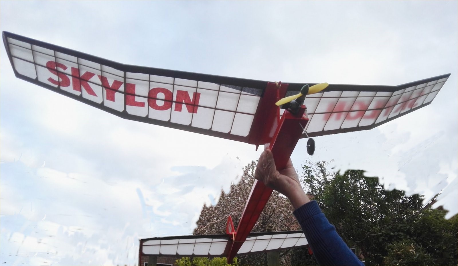 Sylon XL.jpg