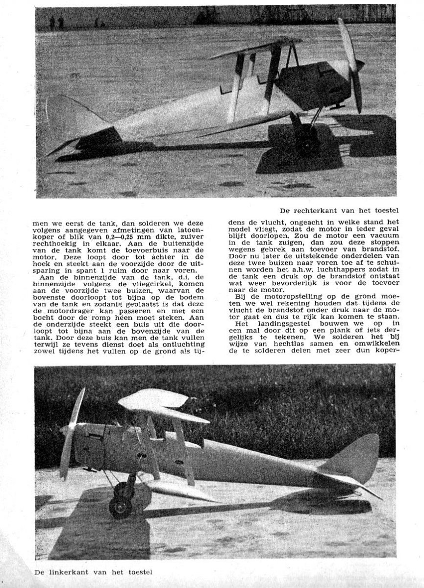 Tiger Moth_5.jpg