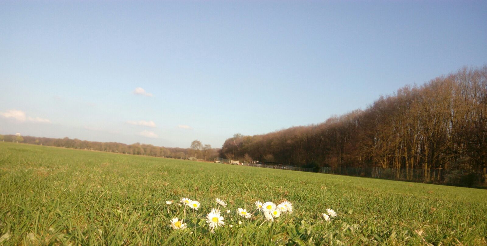 Veld03042017.jpeg