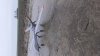 20191226_125811.jpg