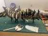 IMG_5334.jpeg