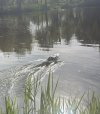 IMG-20250428-WA0021.jpg