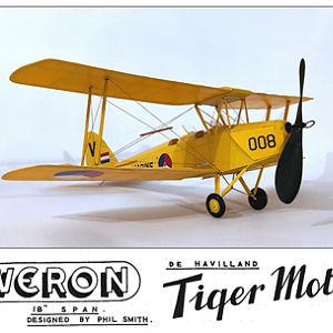 Veron_Tiger_Moth__