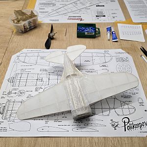 Polikarpov_RATA__054