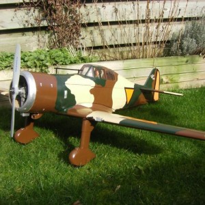 Fokker D.XXI