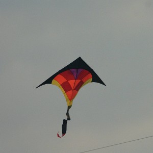 rc vector trust kite