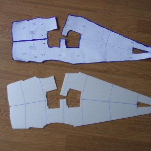 tiger moth