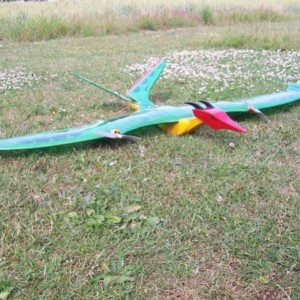 pterodactyl