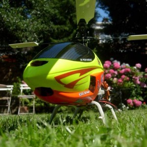 Mini Titan in m'n tuin.
links onder. deze vind ik het mooist:)