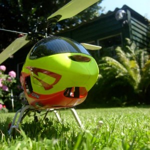 Mini Titan in m'n tuin.
rechts onder.