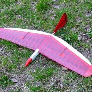 samplebird