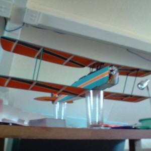 tigermoth2[1]