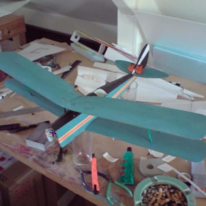 tigermoth2