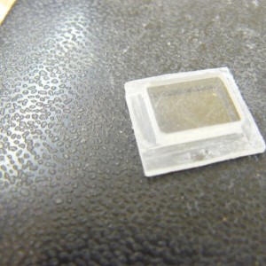 P1010631